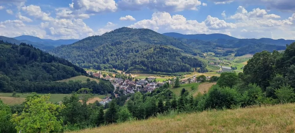 vue paranomarique